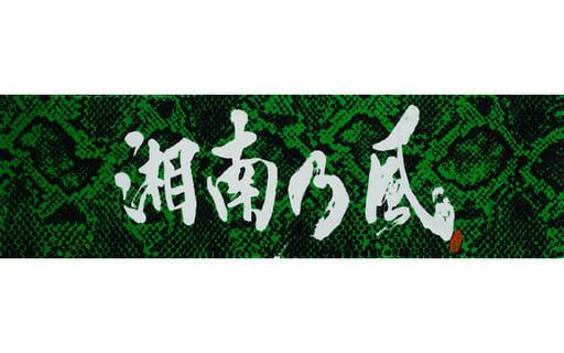 駿河屋 -<中古>湘南乃風 湘南乃風タオル(パイソンGREEN) 「十周年記念