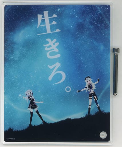 駿河屋 -<中古>田中ヒメ&鈴木ヒナ(心を叫べver.) アクリルアート