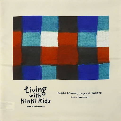 駿河屋 - 【買取】KinKi Kids クッションカバー A(後ろ姿) 「Living ...