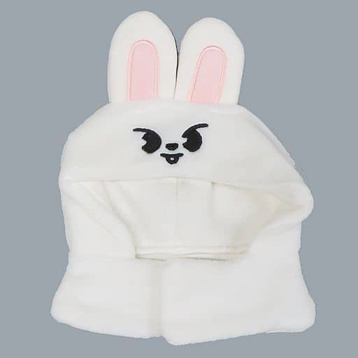 straykids☆skzoo leebit リノ ☆ペンライトカバー - K-POP/アジア straykids☆skzoo leebit リノ ☆ペンライトカバー - K-POP/アジア
