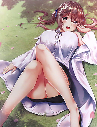 駿河屋 -<中古>05.桜田杏 F6キャンバスアート 「アイキス3」 戯画
