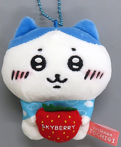 駿河屋 - 【買取】ハチワレ(スカイベリー) ご当地ぬいぐるみキー 駿河屋 - 【買取】ハチワレ(スカイベリー) ご当地ぬいぐるみキー