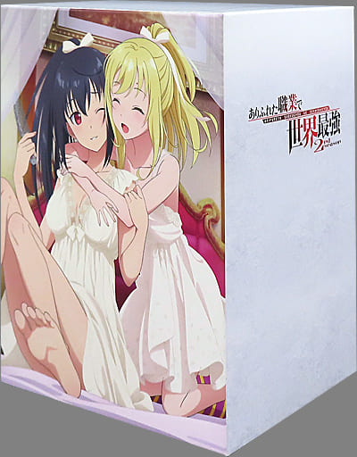 駿河屋 -<中古>八重樫&リリアーナ アニメ描き下ろし 全巻収納BOX