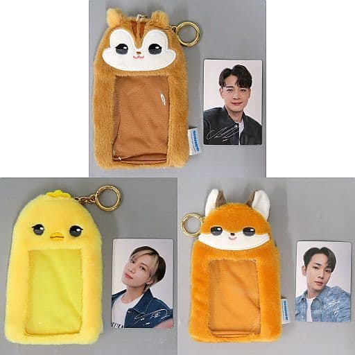 駿河屋 -<中古>全3種セット ANIMAL COORDY トレカ付ふわふわカード 駿河屋 -<中古>全3種セット ANIMAL COORDY トレカ付ふわふわカード
