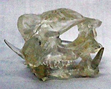 駿河屋 中古 日本海溝底ガメラの墓場で発見されたガメラ頭蓋骨 クリアver ガメラ ガッパ ギララ 特撮大百科ver 1 大怪獣総集結 トレーディングフィギュア