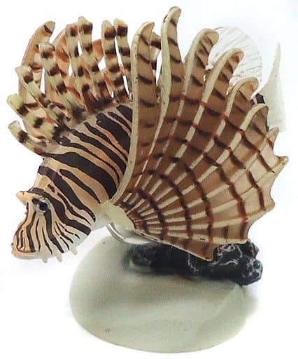 駿河屋 中古 ミノカサゴ 原色海水魚図鑑 I トレーディングフィギュア 駿河屋 中古 ミノカサゴ 原色海水魚図鑑 I トレーディングフィギュア