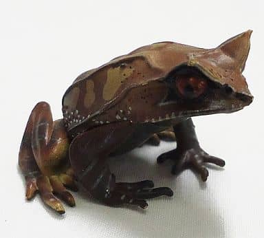駿河屋 中古 ミツヅノコノハガエル 原色両生類カエル図鑑 新改訂版 トレーディングフィギュア 駿河屋 中古 ミツヅノコノハガエル 原色両生類カエル図鑑 新改訂版 トレーディングフィギュア