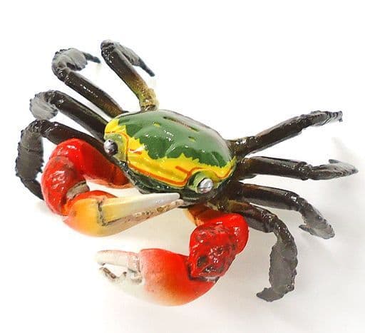 駿河屋 -<中古>7.アカテガニ(通常色) 「カプセルQミュージアム 日本