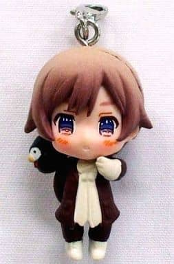 駿河屋 -<中古>アイスランド 「アニ☆カプ×カラコレ ヘタリア Axis