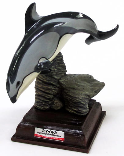 駿河屋 -<中古>カマイルカ 「海遊館ミュージアム ネイチャー