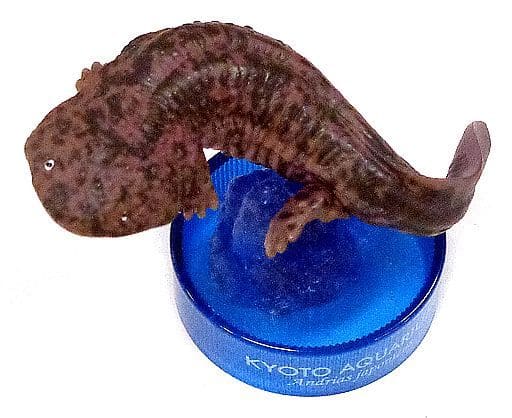 駿河屋 -<中古>オオサンショウウオ(在来種/黒) 「京都水族館フィギュア 駿河屋 -<中古>オオサンショウウオ(在来種/黒) 「京都水族館フィギュア