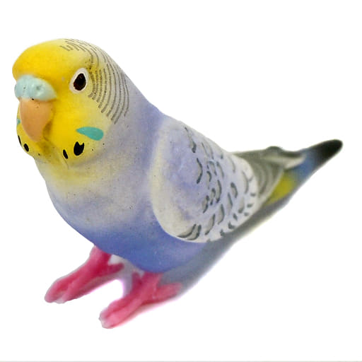 駿河屋 中古 セキセイインコ 青 手のりインココレクション 新しい仲間たち トレーディングフィギュア