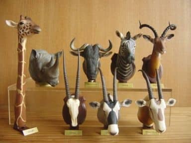 駿河屋 -<中古>全8種セット 「立体カプセル百科事典 ハンティング