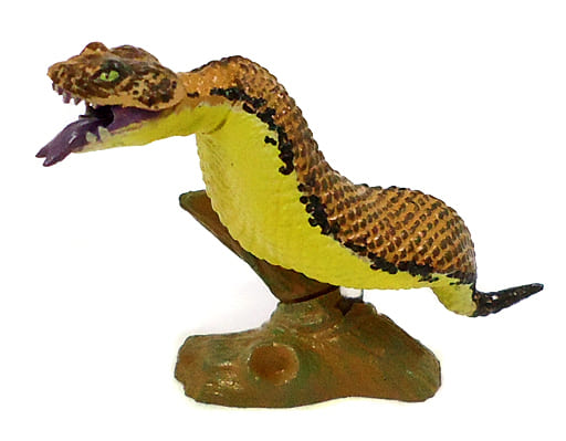 駿河屋 -<中古>ツチノコ 「カプセルQミュージアム UMA大全