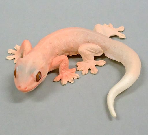 駿河屋 -<中古>オンナダケヤモリ 「カプセルQミュージアム ヤモリ大全2