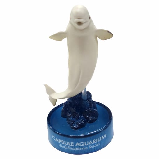 12.シロイルカ(ベルーガ) 「カプセルアクアリウム 日本水族館立体生物図録 第4巻」 12.シロイルカ(ベルーガ) 「カプセルアクアリウム 日本水族館立体生物図録 第4巻」