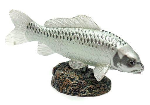 駿河屋 -<中古>【シークレット2】 コイ(人面魚) 「原色淡水魚図鑑II 