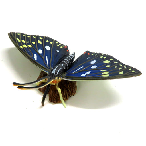 駿河屋 -<中古>オオムラサキ(オス) 「カプセルQミュージアム 樹液に