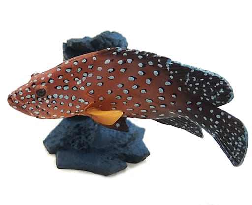 駿河屋 -<中古>ユカタハタ 「原色図鑑シリーズ 原色鳥羽水族館立体図鑑