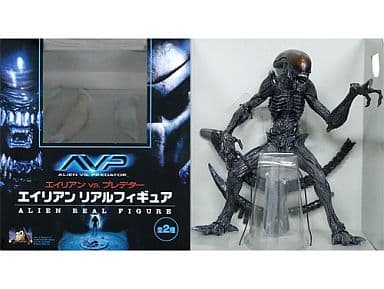 駿河屋 -<中古>エイリアン リアル彩色 「AVP エイリアンVS.プレデター