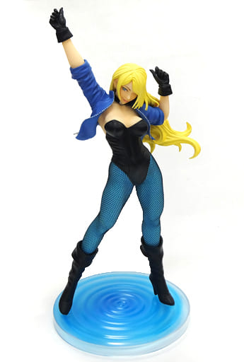 駿河屋 -<中古>DC COMICS美少女 ブラックキャナリー 限定版 「ブラック