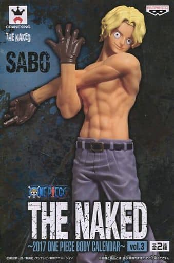 駿河屋 中古 サボ グレーズボン ワンピース The Naked 17 One Piece Body Calendar Vol 3 フィギュア
