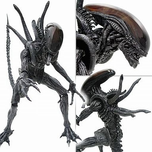 駿河屋 - 【買取】[ランクB] エイリアン・ウォーリアー 「AVP