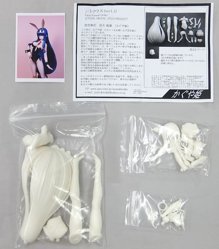 かぐや姫 ジャンヌ・ダルク バニー ガレージキット レジンキャスト かぐや姫 ジャンヌ・ダルク バニー ガレージキット レジンキャスト