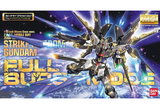 駿河屋 -<新品/中古>1/100 MG ZGMF-X20A ストライクフリーダムガンダム