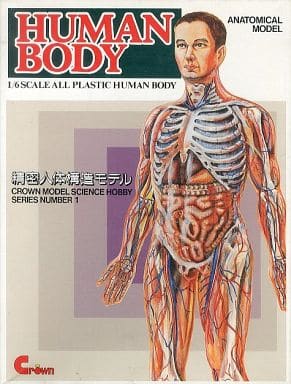 精密人体構造モデル HUMAN BODY 品 宇宙兄弟 宇宙服、イプシロン