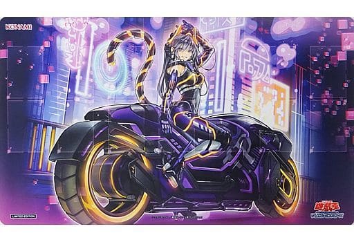 駿河屋 -<中古>遊戯王OCG デュエルモンスターズ デュエルフィールド