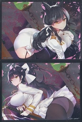 駿河屋 -<新品/中古>【アズールレーン】スリーブ 愛宕&高雄 スリーブ