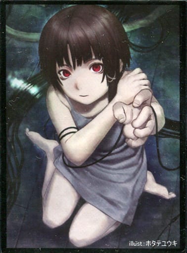 駿河屋 新品 中古 Serial Experiments Lain スリーブ 岩倉玲音 ホタテユウキ C95 猫妨害 サプライ