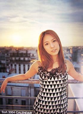 駿河屋 中古 Boa 04年度カレンダー 写真集系 駿河屋 中古 Boa 04年度カレンダー 写真集系