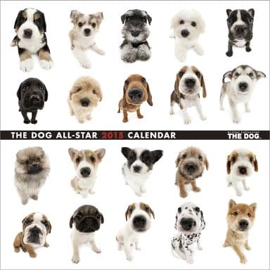 駿河屋 新品 中古 The Dog All Star 15年度カレンダー 動物