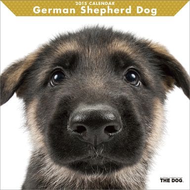 駿河屋 新品 中古 The Dog ジャーマン シェパード ドッグ 15年度カレンダー 動物 駿河屋 新品 中古 The Dog ジャーマン シェパード ドッグ 15年度カレンダー 動物