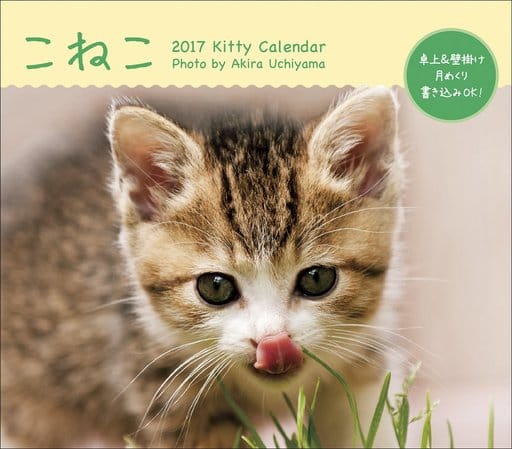 駿河屋 新品 中古 ミニカレンダー こねこ 17年度カレンダー 動物 駿河屋 新品 中古 ミニカレンダー こねこ 17年度カレンダー 動物