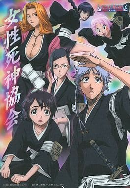 駿河屋 中古 女性死神協会 ジャンボカードダス Bleach ブリーチ クリアビジュアルコレクション2 小物