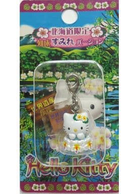 ご当地キティ ぬいぐるみ 知床すみれ 北海道限定 ハローキティ 世界遺産