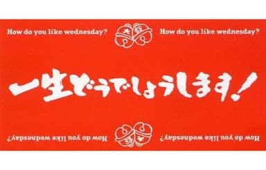 駿河屋 中古 どうでしょうタオル 一番くじ 水曜どうでしょう C賞 タオル 手ぬぐい