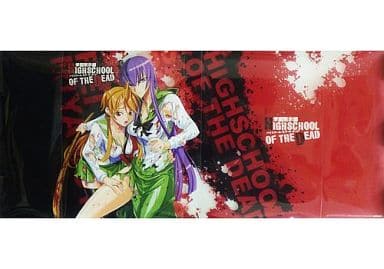 駿河屋 買取 毒島冴子 宮本麗 クリアブックカバー コミックス 学園黙示録 Highschool Of The Dead 6巻 アニメイト特典 ブックカバー しおり