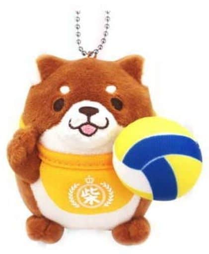 駿河屋 新品 中古 おかか バレー ぬいぐるみボールチェーン スポーツ 忠犬もちしば キーホルダー マスコット 駿河屋 新品 中古 おかか バレー ぬいぐるみボールチェーン スポーツ 忠犬もちしば キーホルダー マスコット