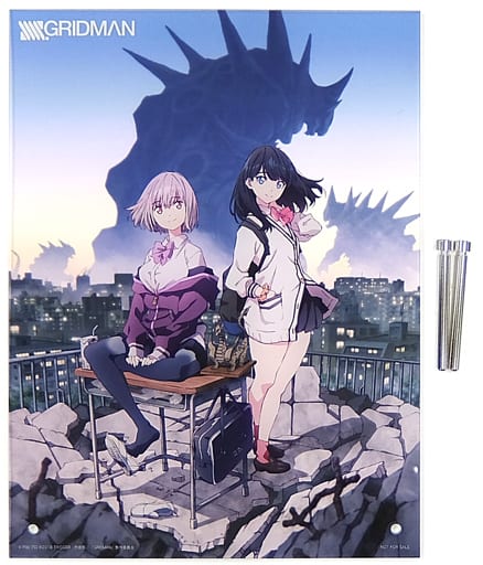 駿河屋 -<中古>宝多六花&新条アカネ A4アクリルボード 「SSSS.GRIDMAN 駿河屋 -<中古>宝多六花&新条アカネ A4アクリルボード 「SSSS.GRIDMAN