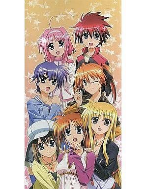 駿河屋 中古 魔法少女リリカルなのはstrikers スリムポスターファイル アニメイト全巻購入特典 ポスター 駿河屋 中古 魔法少女リリカルなのはstrikers スリムポスターファイル アニメイト全巻購入特典 ポスター