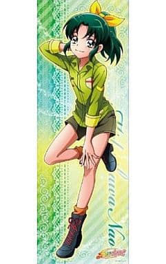 リアル スマイルプリキュア (キャラクターグッズ キャラポス