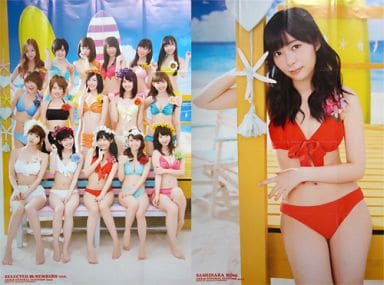 駿河屋 中古 A1特大両面ポスター 16頁折 Akb48選抜メンバー16名 指原莉乃 Hkt48 Akb48総選挙 水着サプライズ発表2013 Special付録 女性ポスター