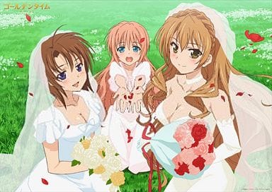 駿河屋 新品 中古 A3クリアポスター 香子 奈々 千波 ドレス ゴールデンタイム アニメ 駿河屋 新品 中古 A3クリアポスター 香子 奈々 千波 ドレス ゴールデンタイム アニメ