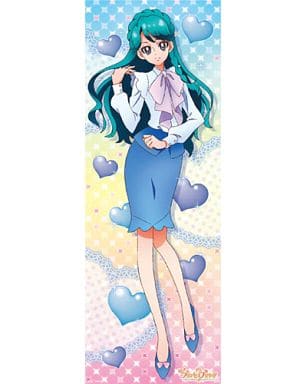 駿河屋 中古 海藤みなみ 私服 Go プリンセスプリキュア キャラポスコレクション ポスター 駿河屋 中古 海藤みなみ 私服 Go プリンセスプリキュア キャラポスコレクション ポスター