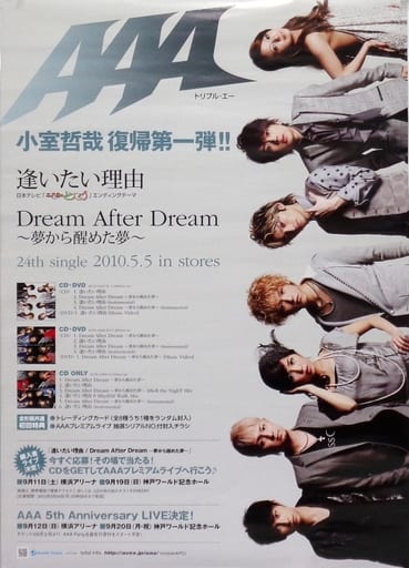 駿河屋 中古 B2販促ポスター a Cd 逢いたい理由 Dream After Dream 夢から醒めた夢 ポスター