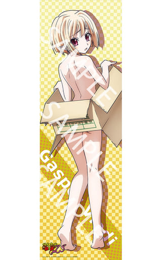 駿河屋 新品 中古 ロングフレキシブルポスター ギャスパー ヴラディ ハイスクールd D New ポスター 駿河屋 新品 中古 ロングフレキシブルポスター ギャスパー ヴラディ ハイスクールd D New ポスター